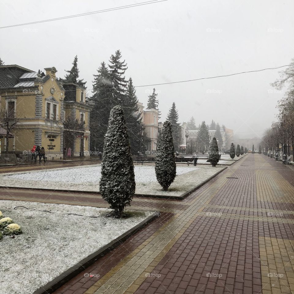 Зима в Кисловодске. Первый снег.