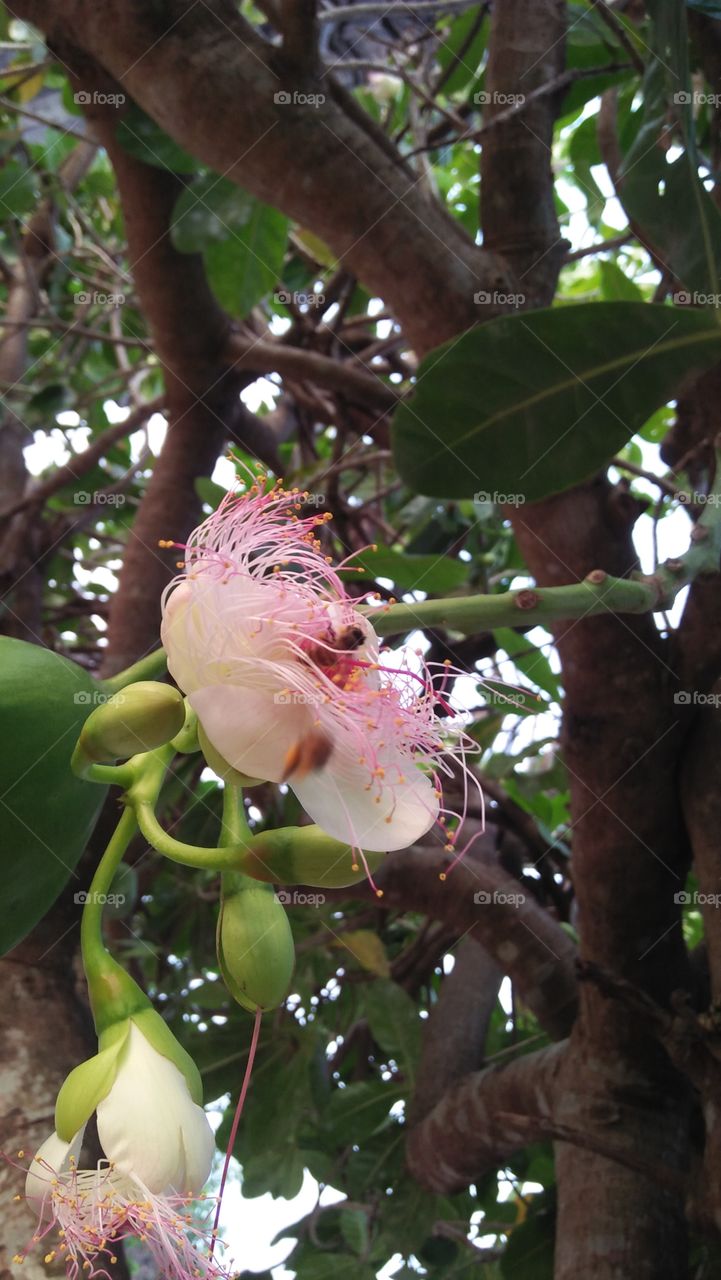 everythings can't be alone