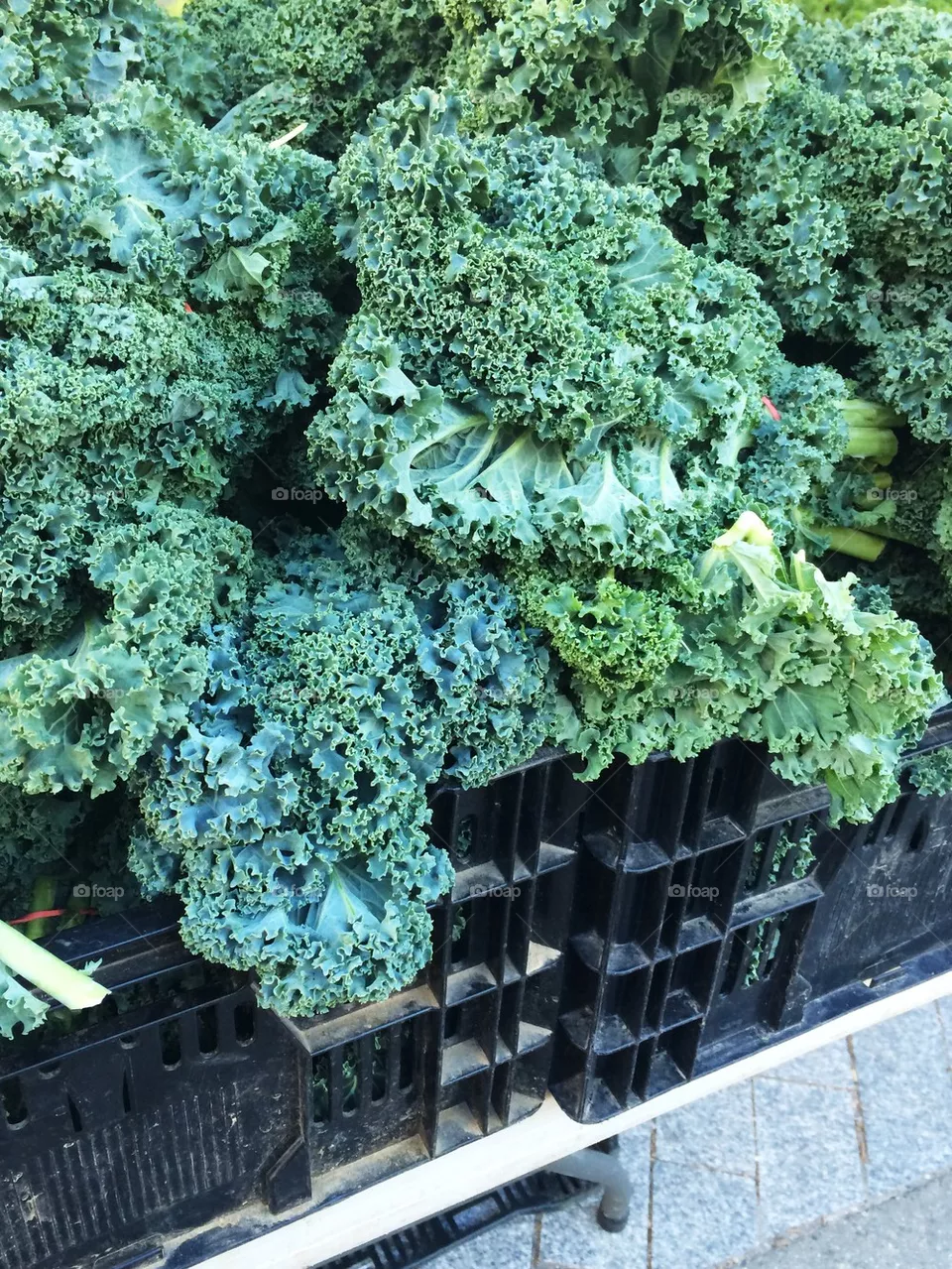 Kale