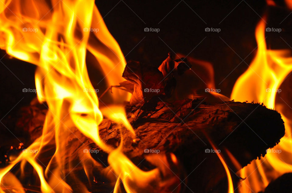 wood fire flame firewood by refocusphoto