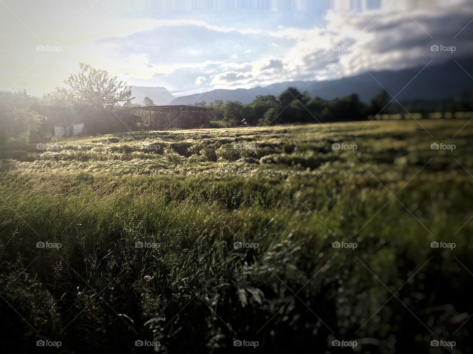 Storm Clouds