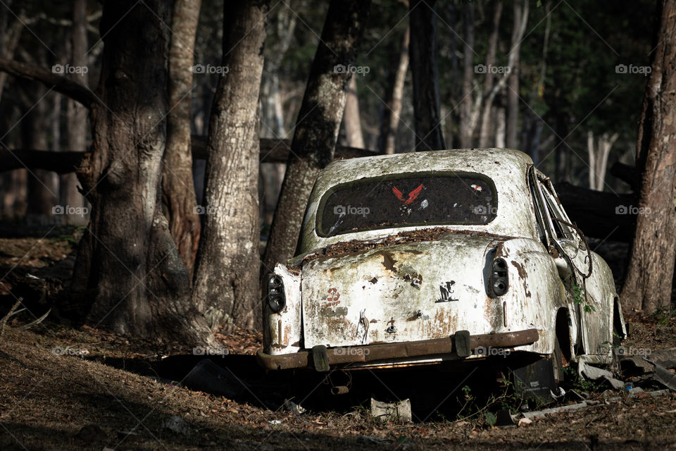 An old scrapped car abandoned in the middle of the forest during the day.