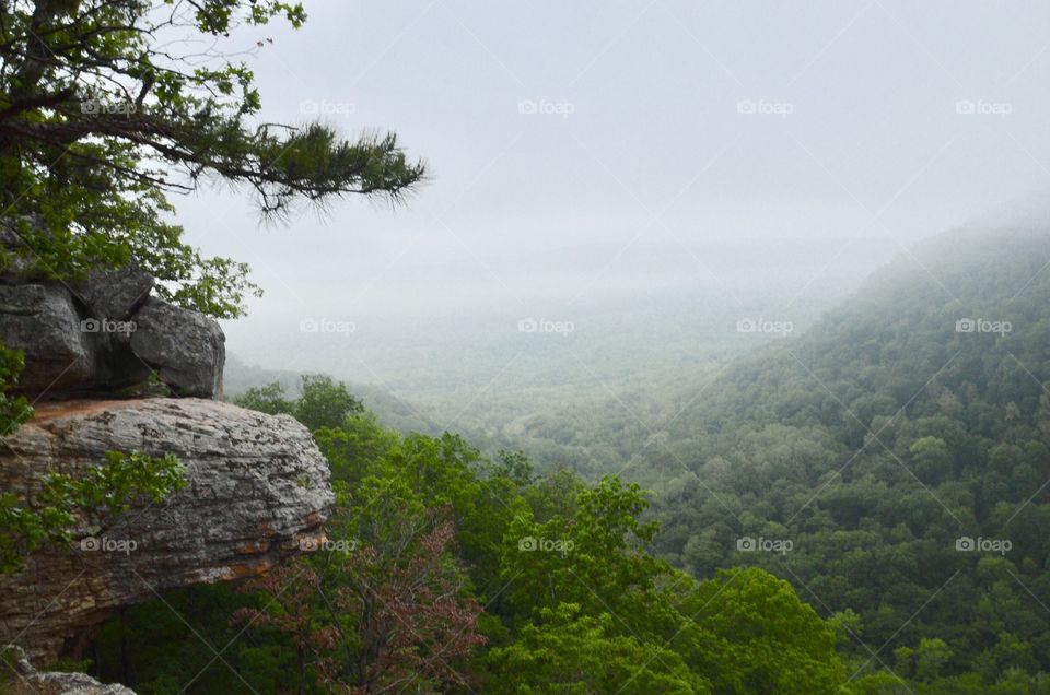 Whitaker Point AR