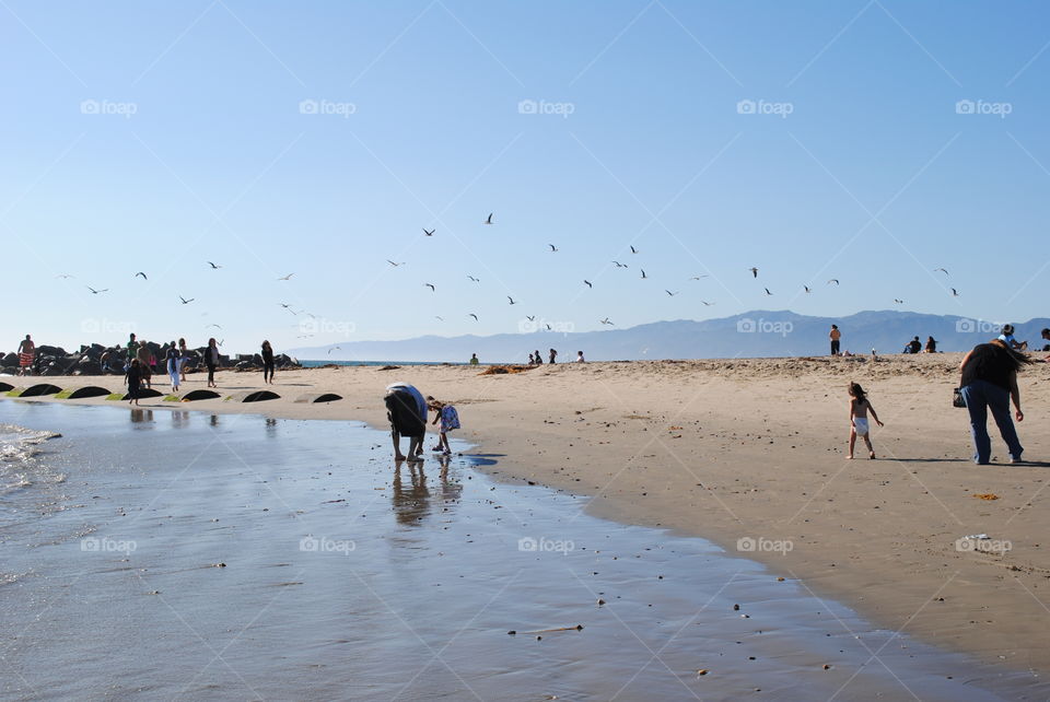 People and birds at the beach