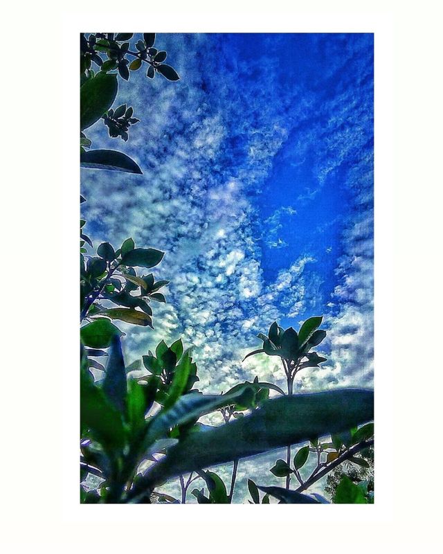 nature cool