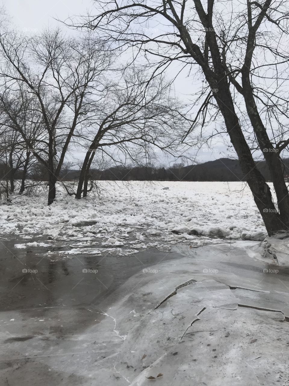 Frozen River
