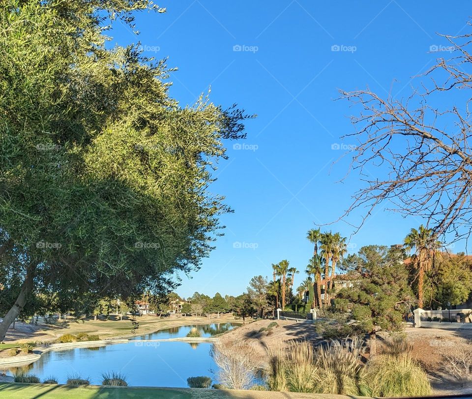 Spring Into Vegas Days Of Pleasure