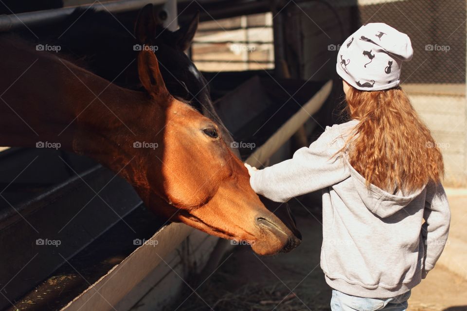 Girl stroking a horse after feeding apples