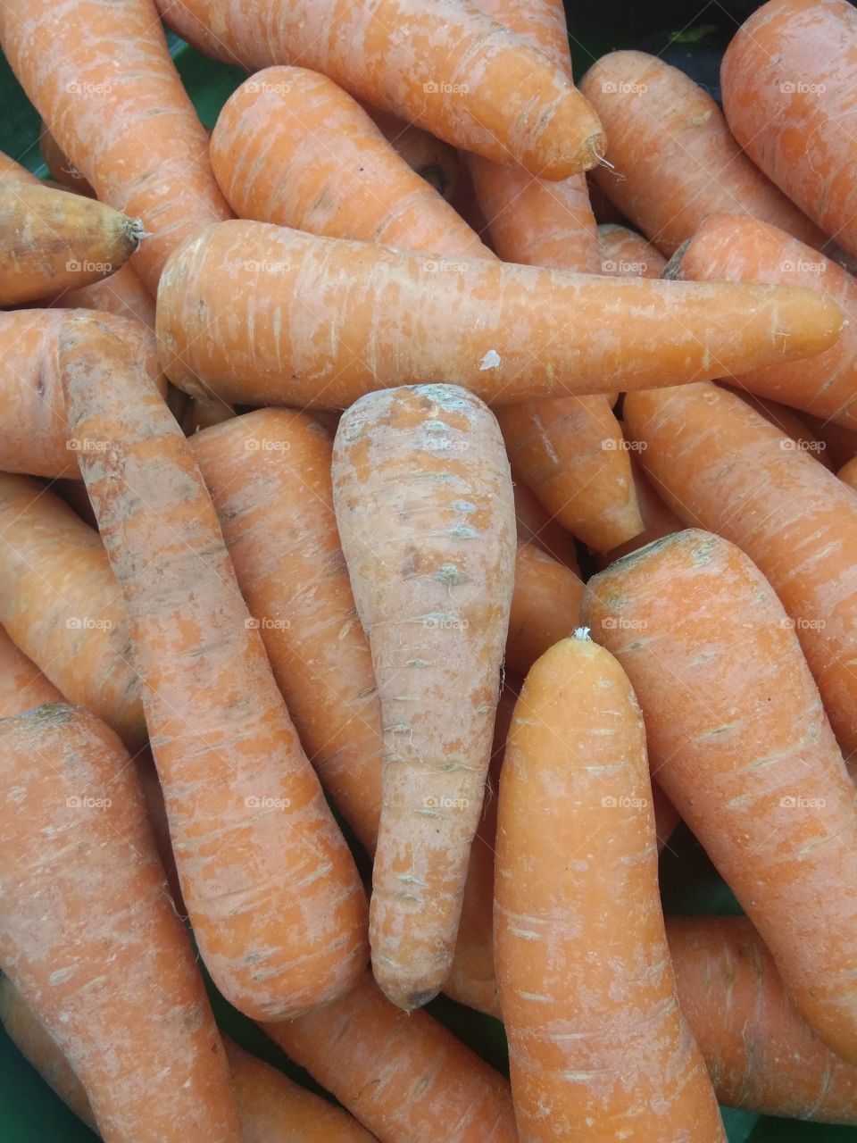 carrot vegetables on the market