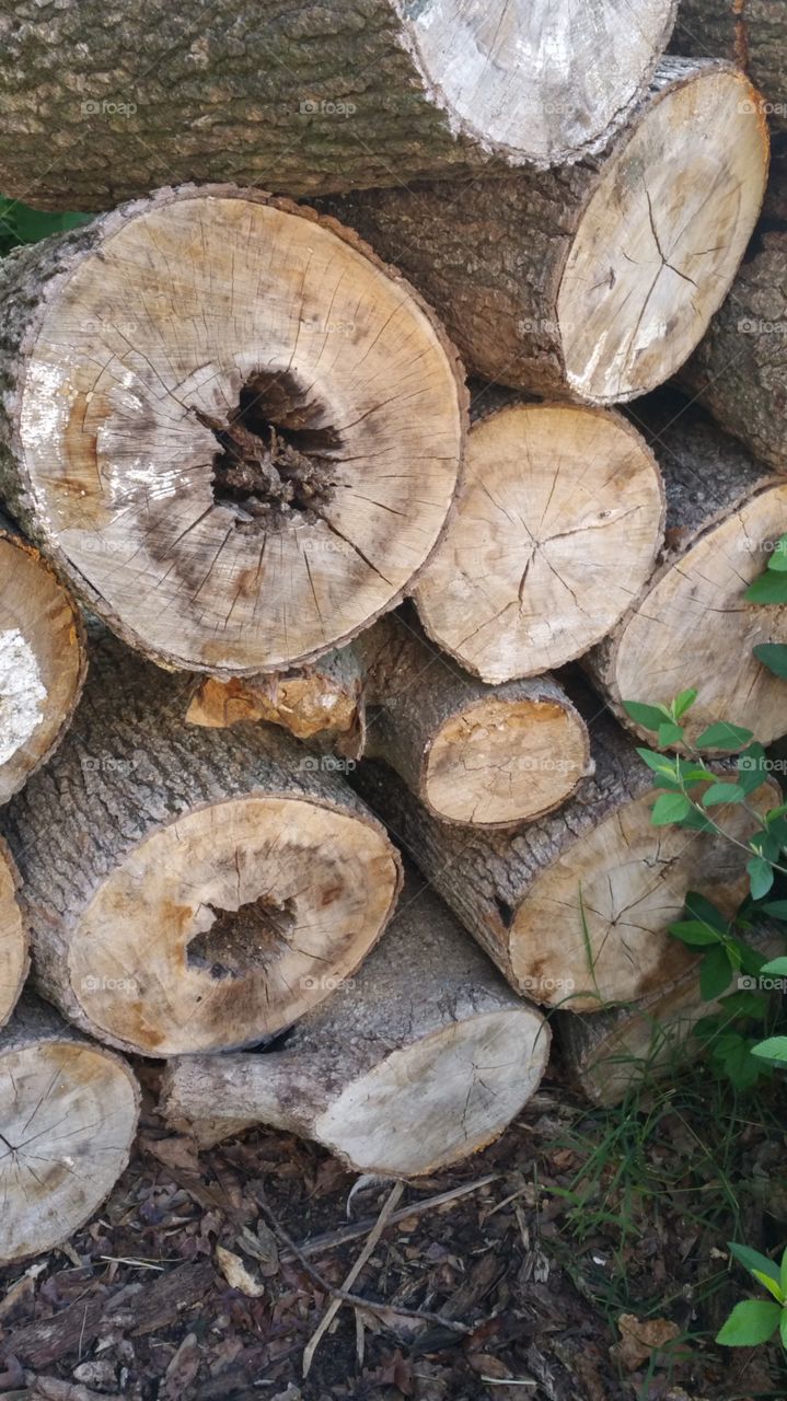 logs. logs