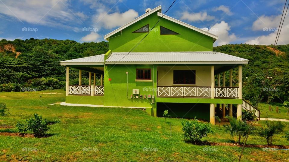 bright Green home for rent in Barbados
