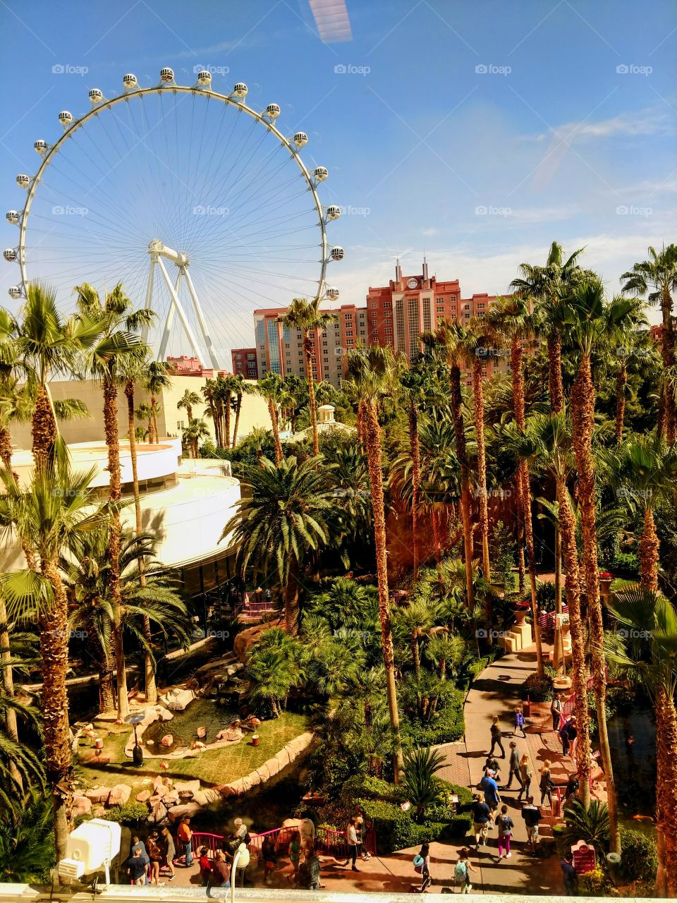 Flamingo's view of Vegas