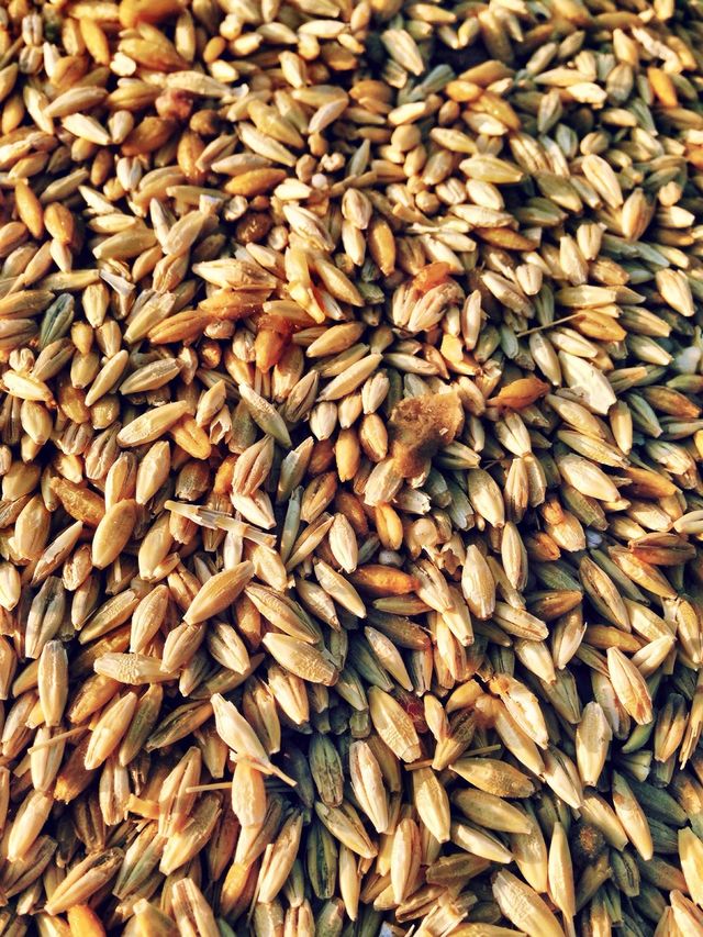 organic grain