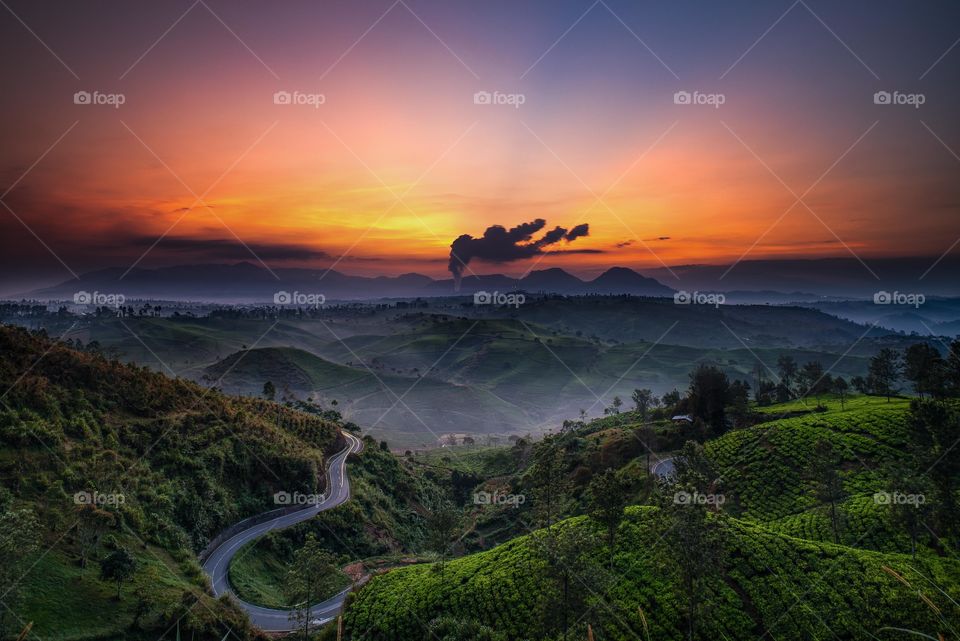 Sunrise at Cukul Tea Garden July 2018