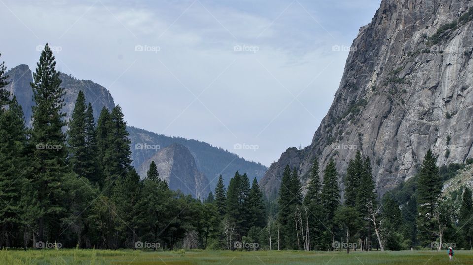 Landscape view of mountain and trees