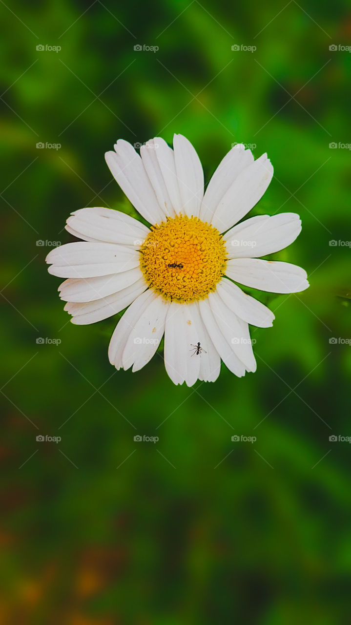 how much do you like this photo