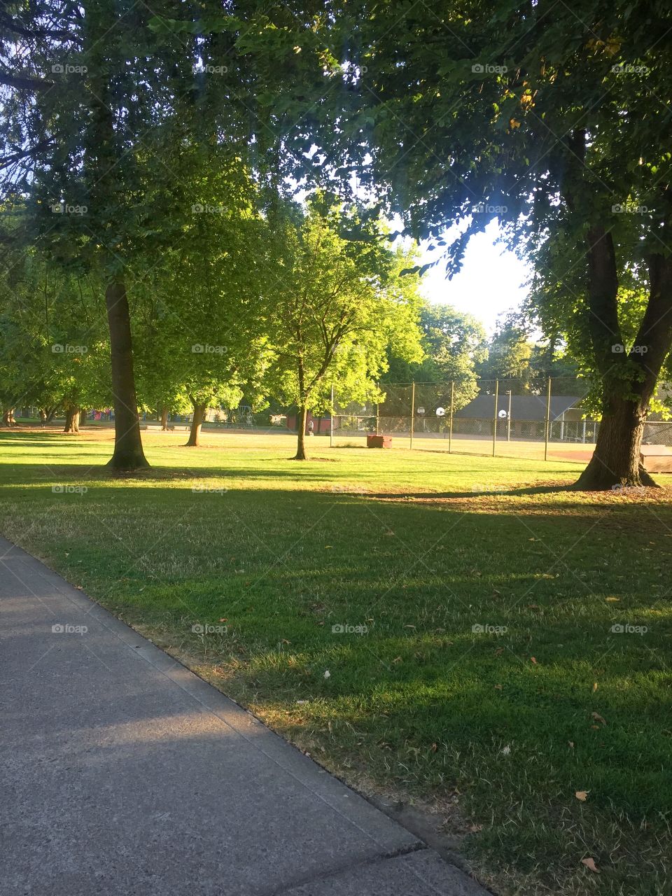 Portland parks 