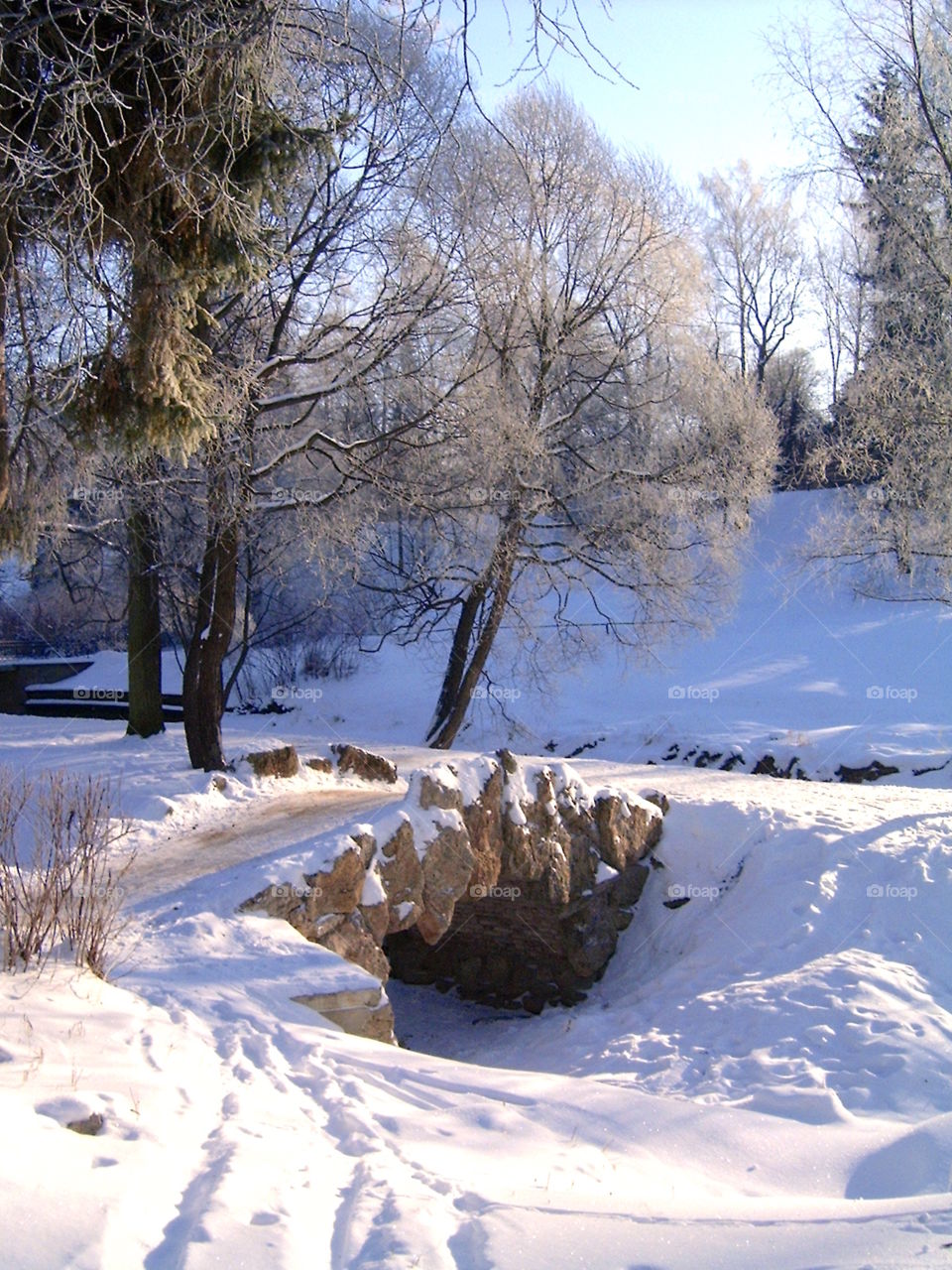 Bridge in Winter Park 