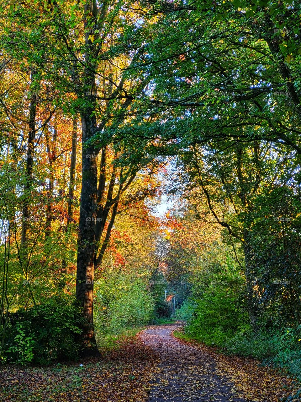 Autumn colors are so warm