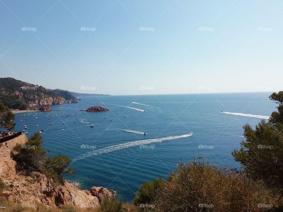 Tossa de mar
