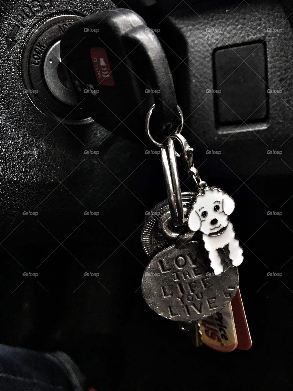 Dog keychain 