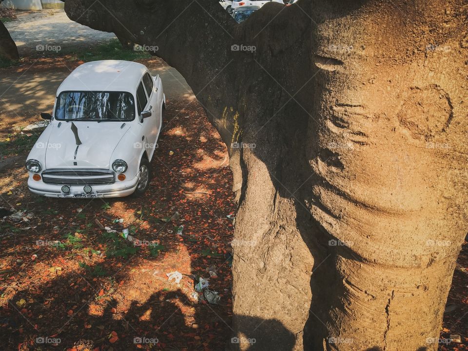 Vintage car