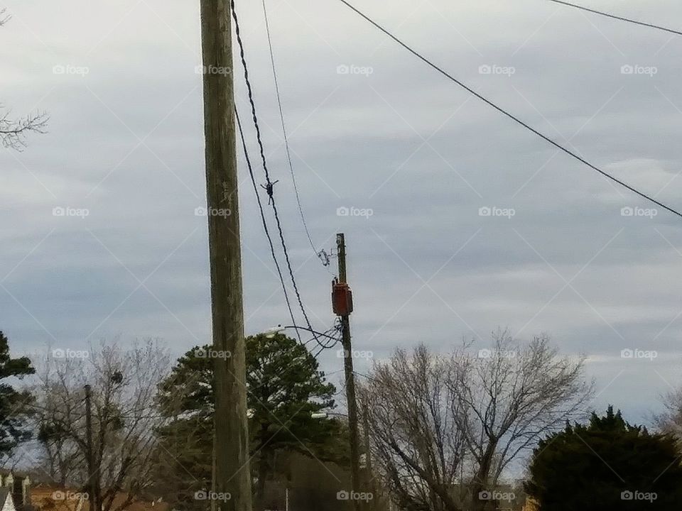 rain clouds over the suburbs