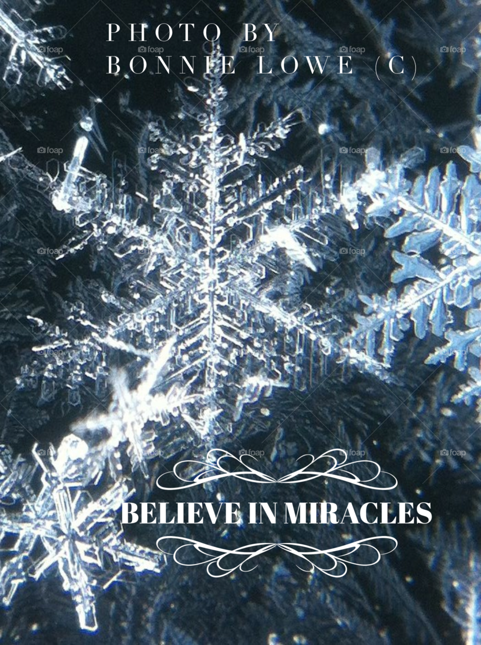 Perfection - macro Snowflakes layered on frost