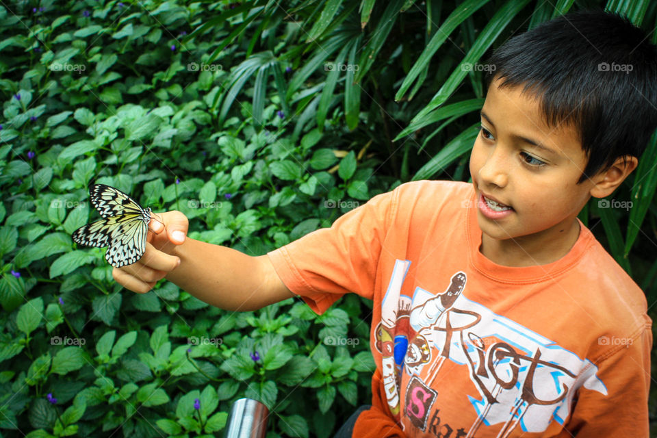 Boy is holding a butterfly