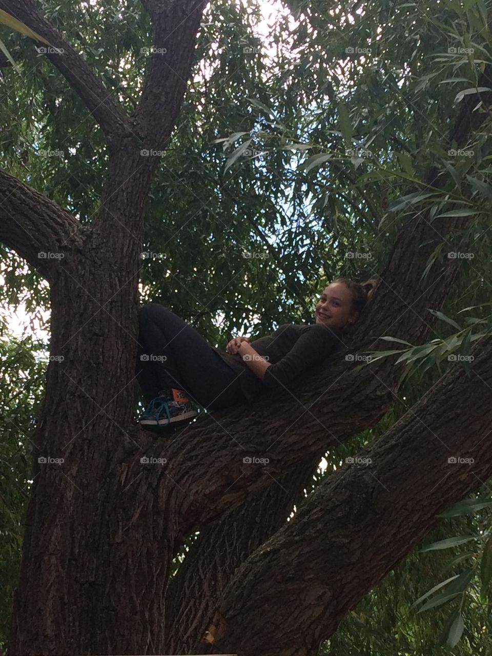 Lazy day in a tree