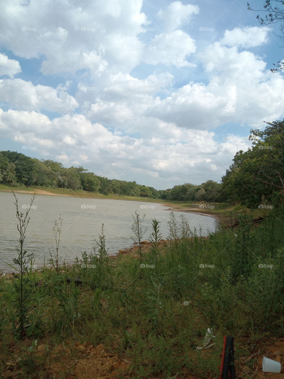 Editors'Choice: Photo of the week