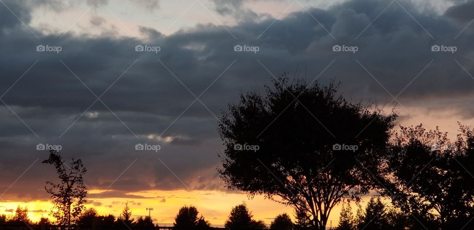 after the storm,  painted