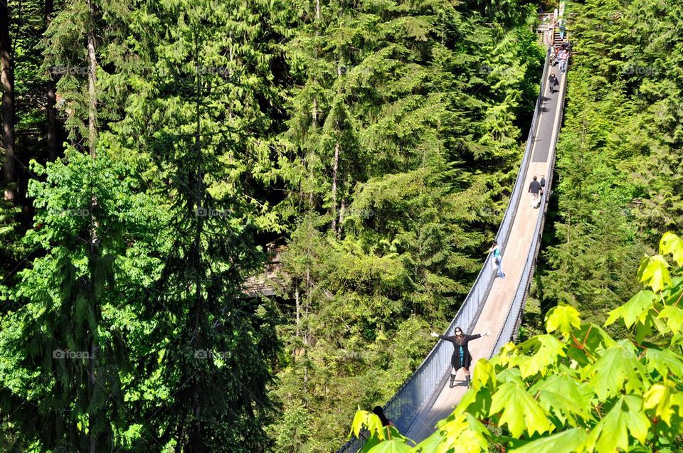 Capilano Bridge