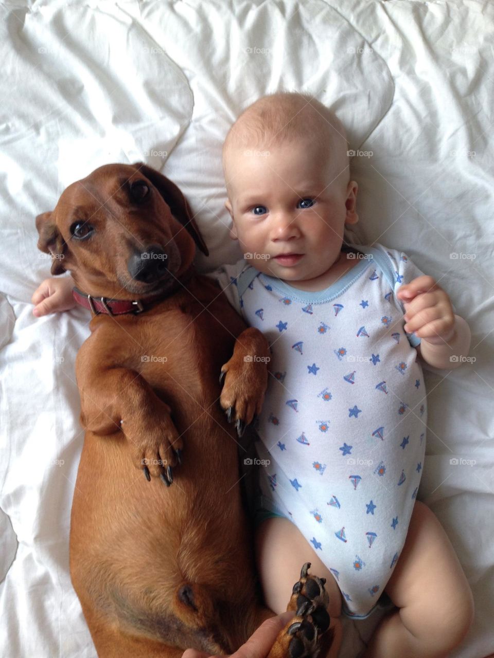 Cutest boy and pet at home