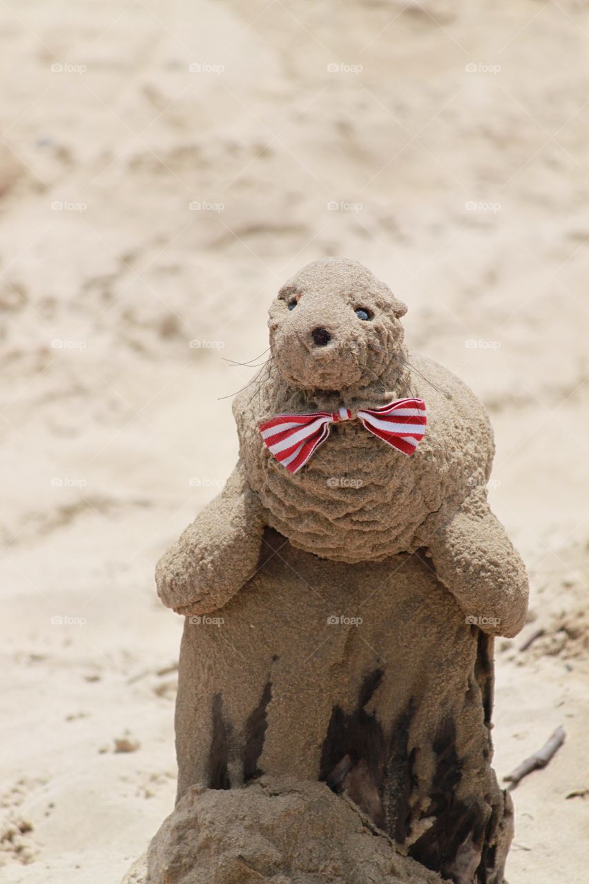 Seal sand sculpture 