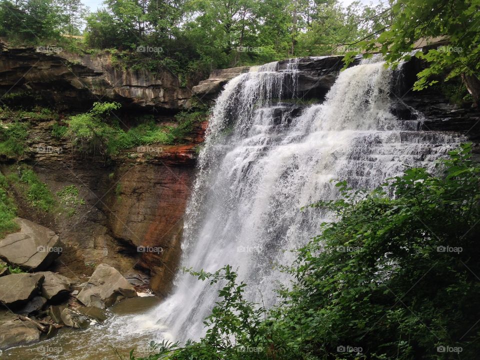 Waterfall in the forest