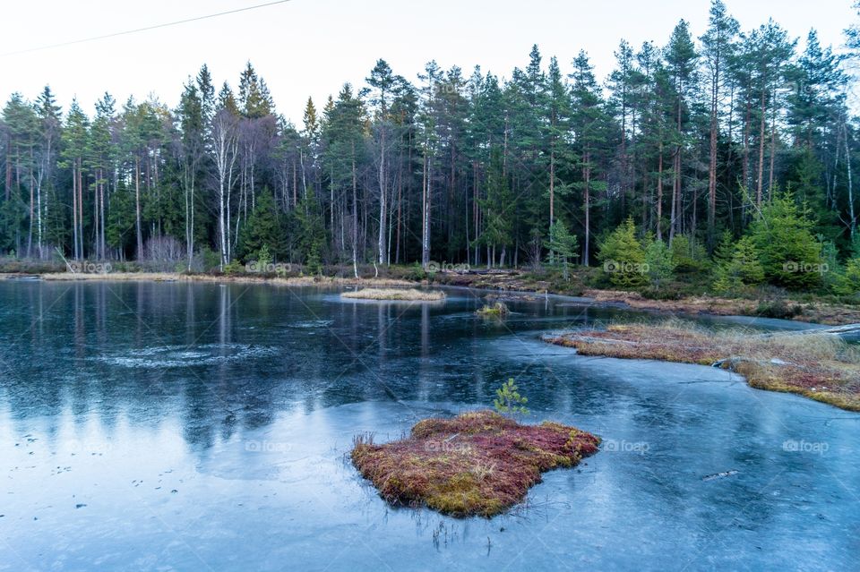 View of lake and forest