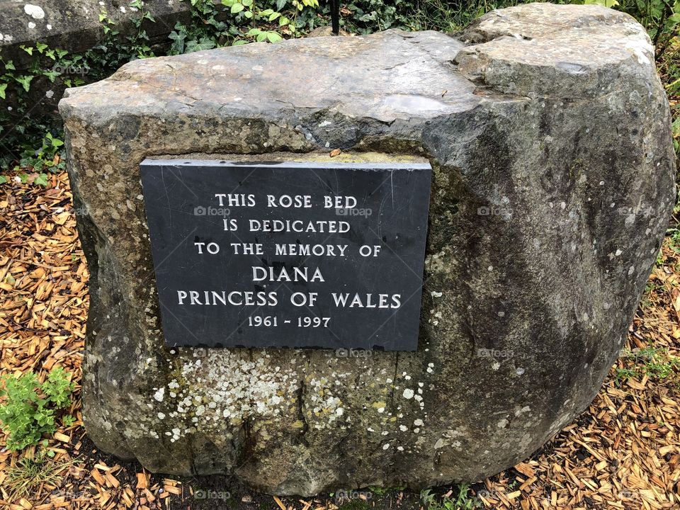 Aside from the Queen of England Princess Diana was the most popular member of the Royal Family ever. Diana died in 1997 and it’s heartening to see this lovely tribute to her in Bideford, North Devon, UK