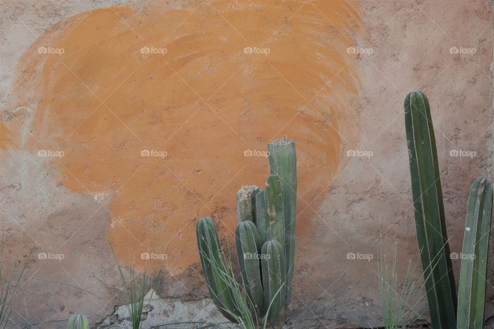 A closeup of a long surrounding wall in front of a residential home in San Miguel de Allende, Mexico.