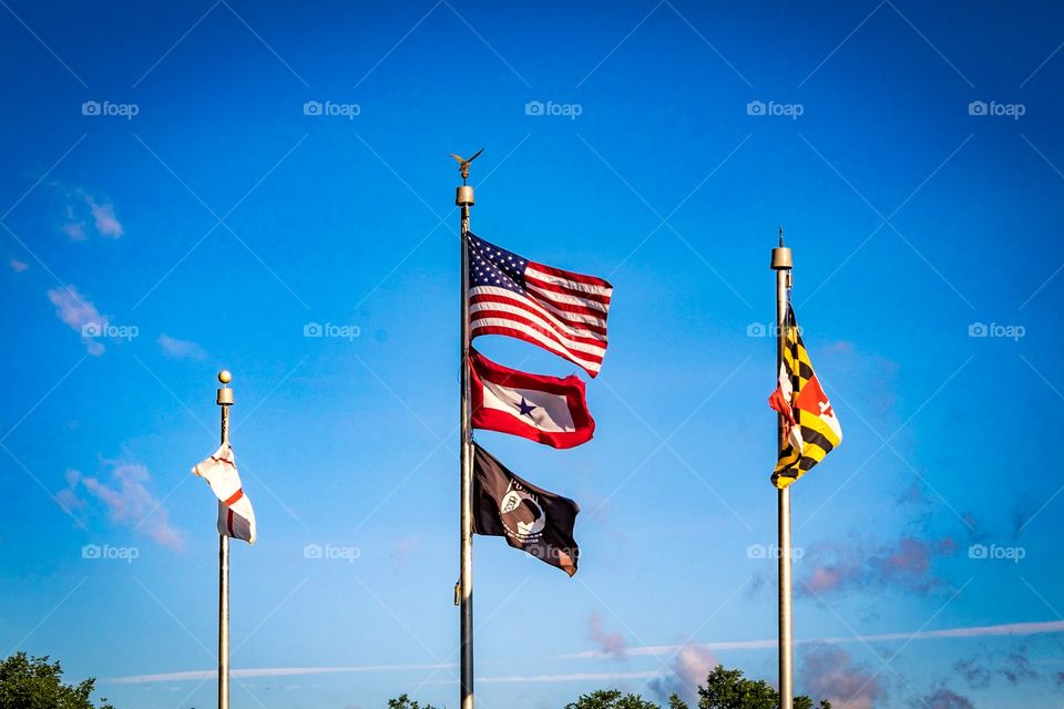 Blue sky flags