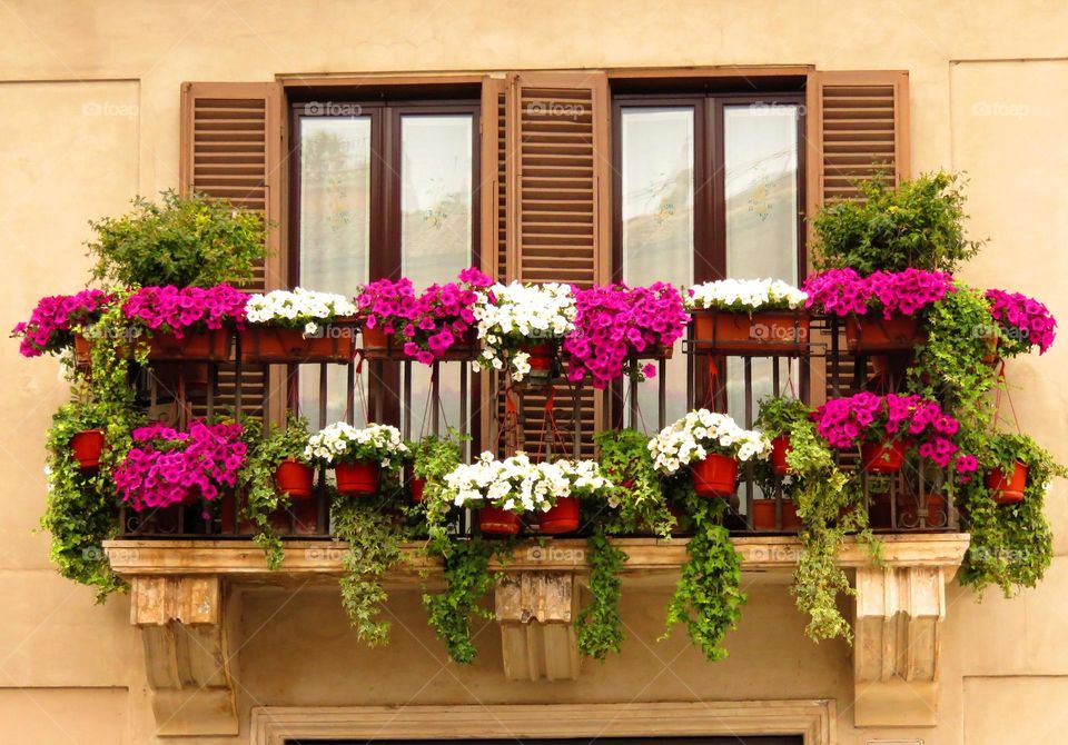 flowered balcony