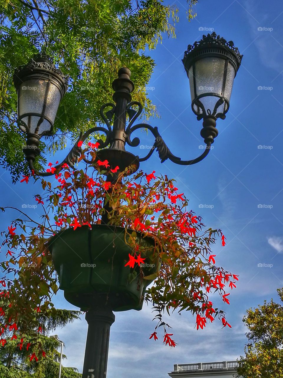 Low angle view of street light