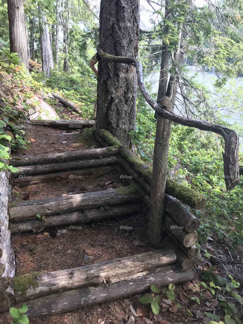 Rustic handmade steps along a trail
