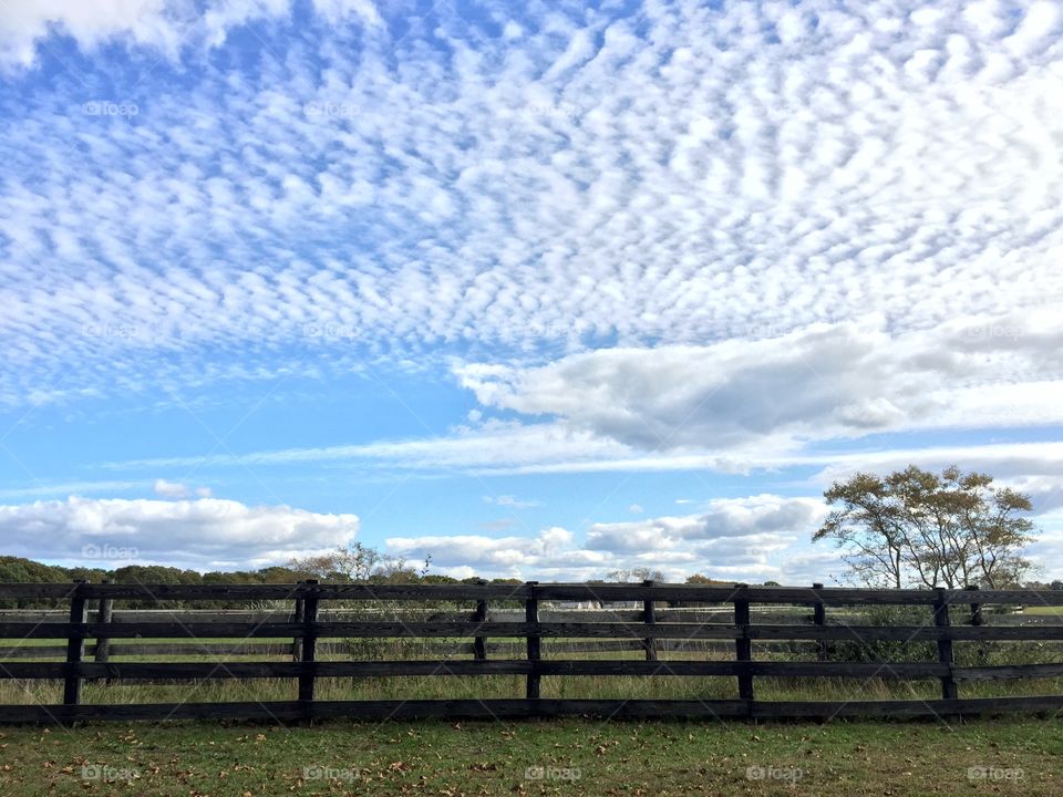 Fence, Landscape, Field, Sky, Farm