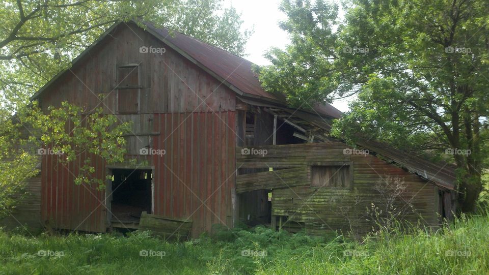 Barn in the woods