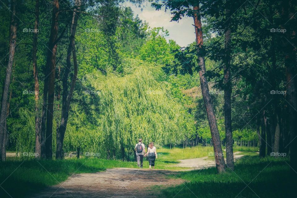 Romantic walk in the forest 