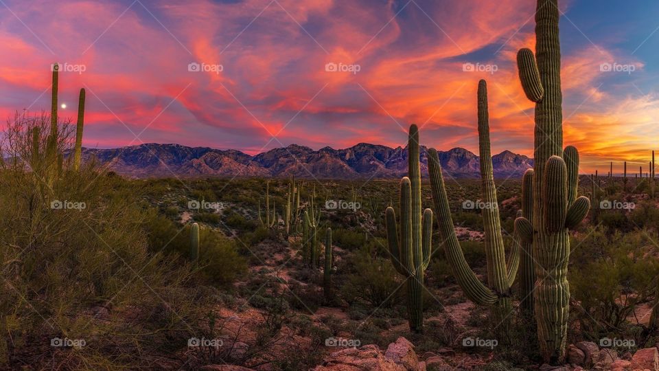 The sunsets of Arizona are breathtaking 