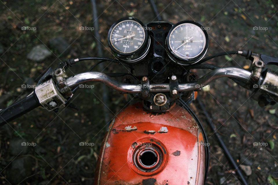 Life and art in visual impressions