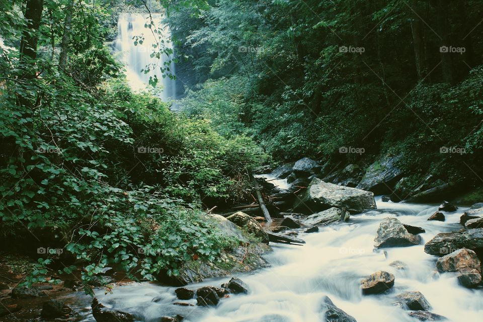 Falls and nature 