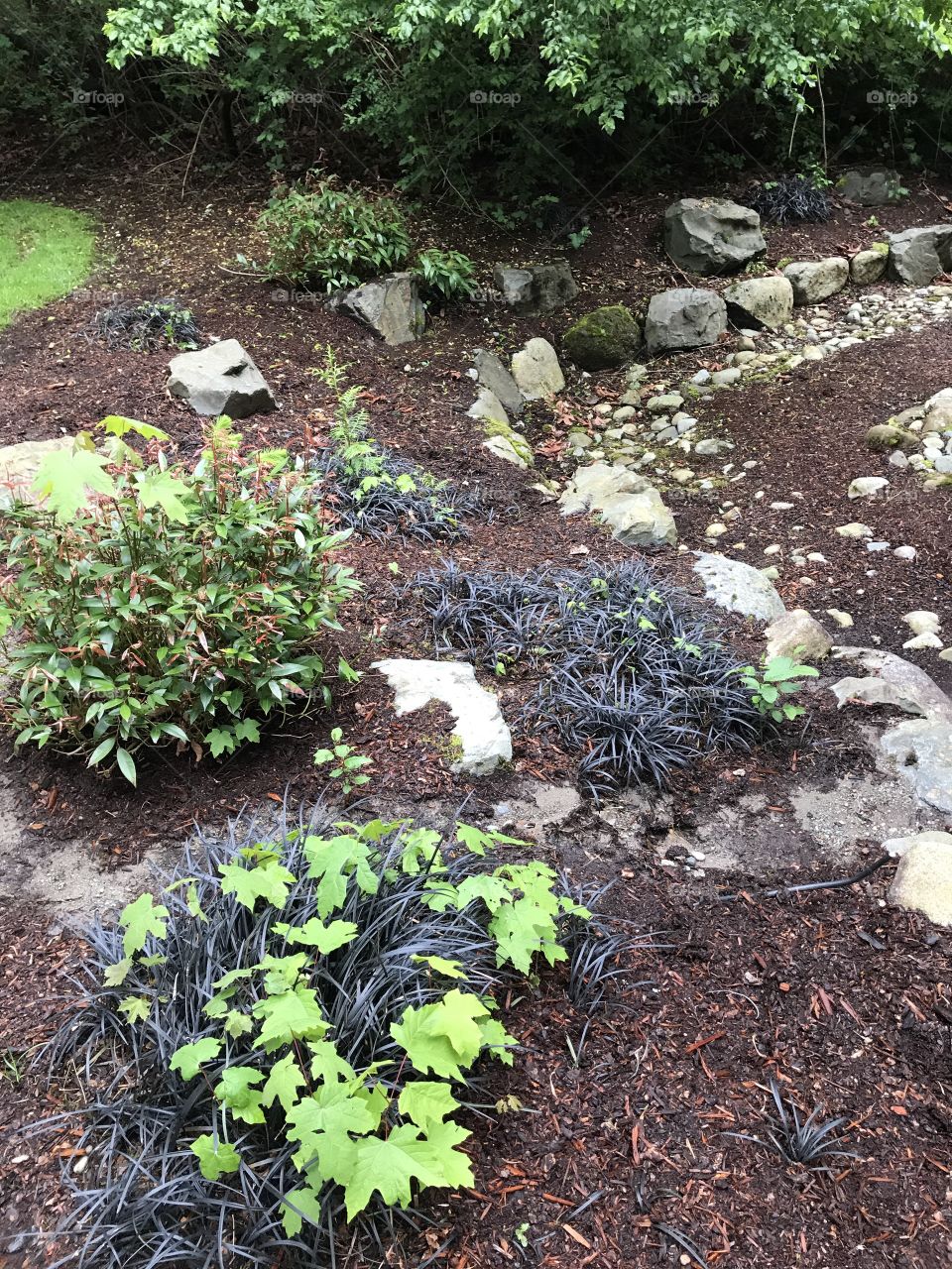 A little walkway in my apartment complex.